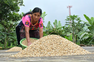 GUATEMALA - ATITLAN - (MED - LIGHT)