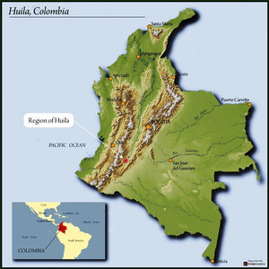COLOMBIA - S. HUILA - CATURRA (MED - LIGHT)