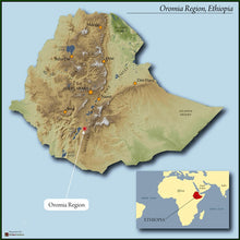 Load image into Gallery viewer, ETHIOPIA - Natural Sidamo - Royal Select Water - DECAF