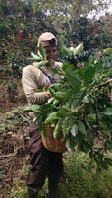 Load image into Gallery viewer, GUATEMALA - GUAYA&#39;B (DARK ROAST)-SOLD OUT!