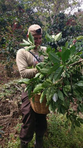 GUATEMALA - GUAYA'B (DARK ROAST)-SOLD OUT!