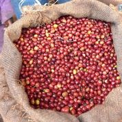 ETHIOPIA - DUROMINA (LIGHT)